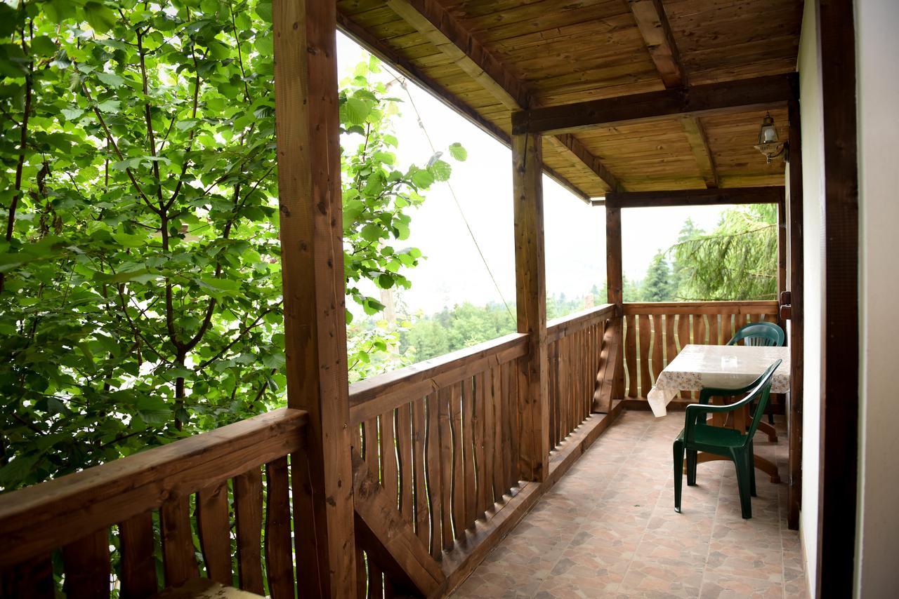 Casa Edy Hotel Colibita Exterior photo