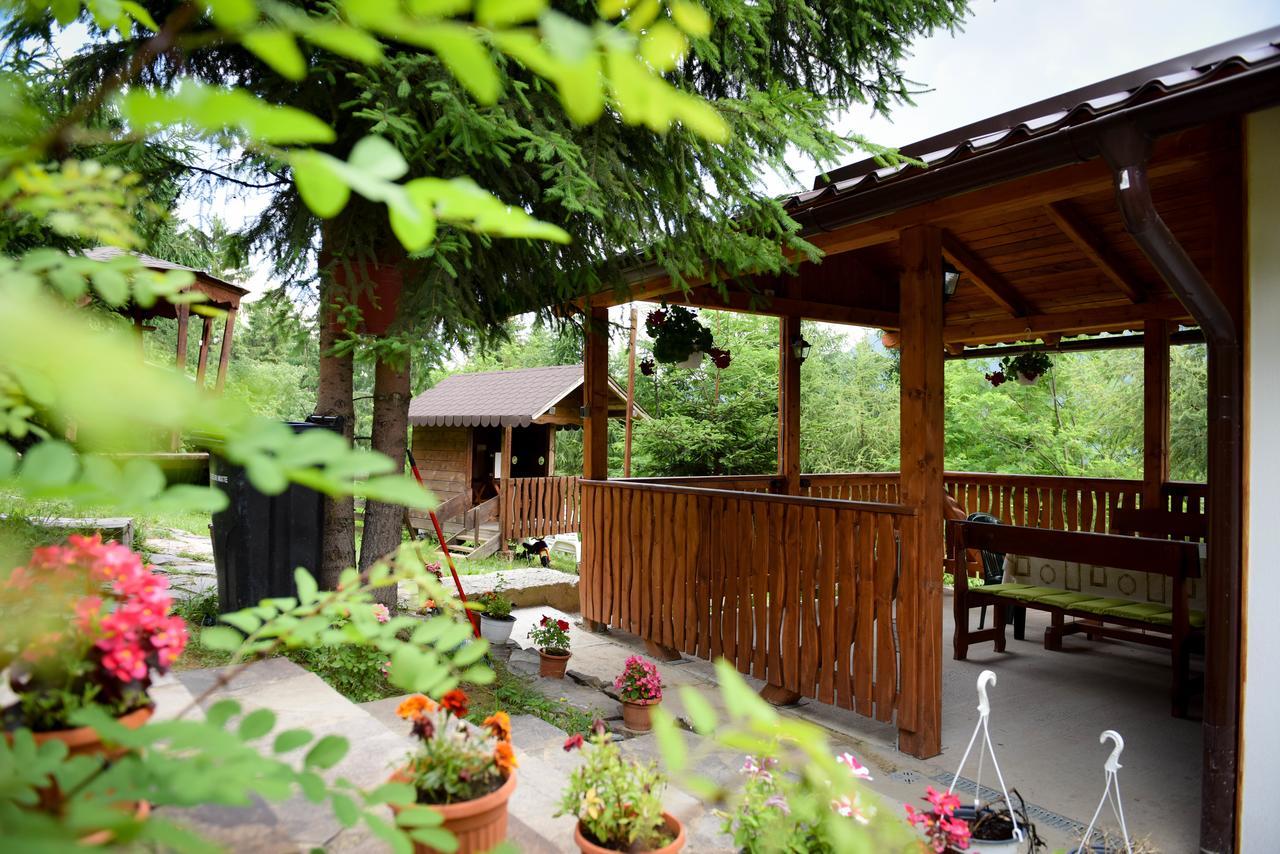 Casa Edy Hotel Colibita Exterior photo